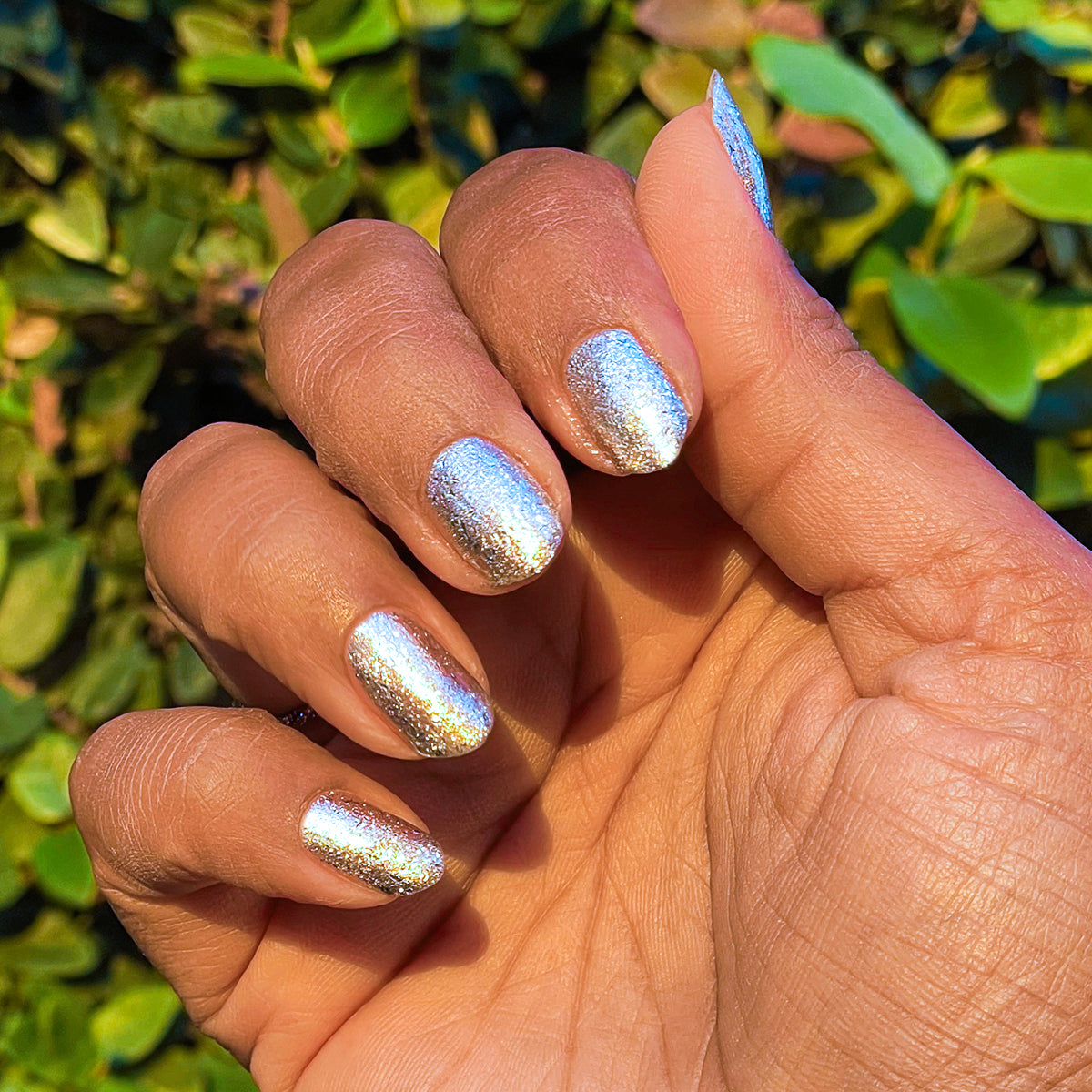 Candy Wrapper、mySite、solidvoid