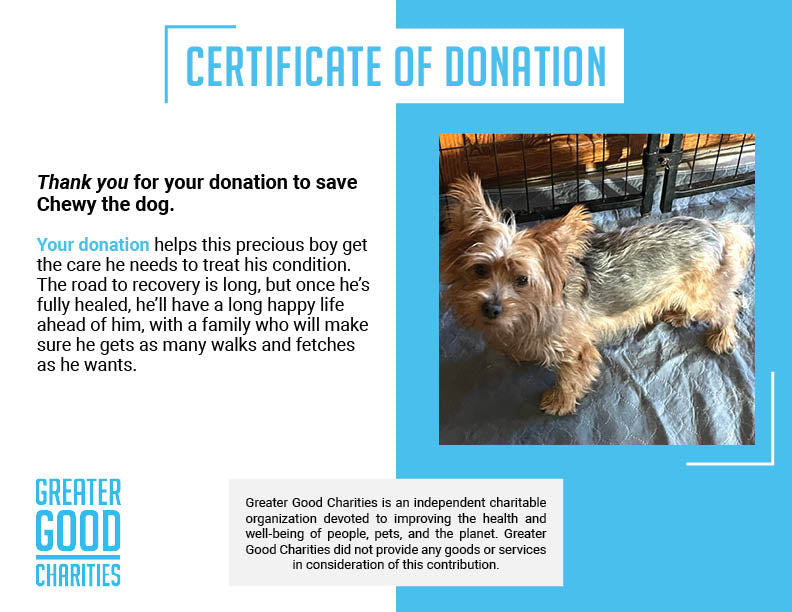 Funded: Chewy Needs Surgery to Heal His Heart、mySite、camillekostekn