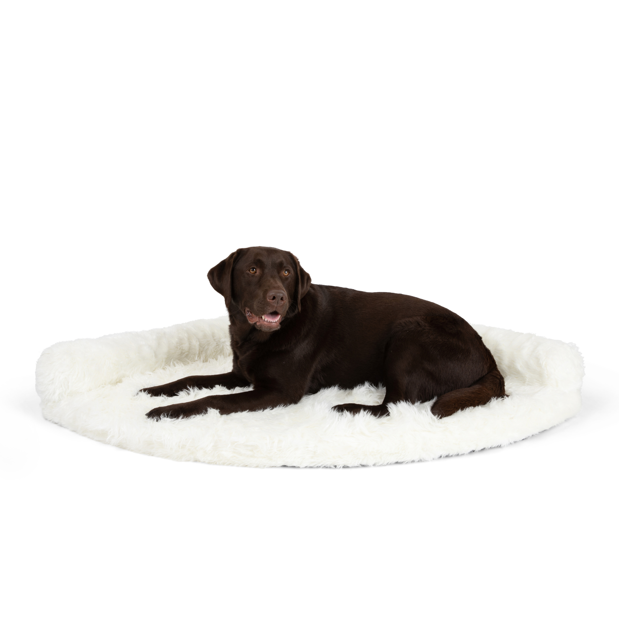 PupRug™ Memory Foam Corner Dog Bed - Polar White、mySite、solidvoid