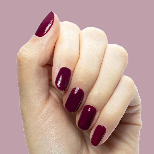 Plaza - Gel、mySite、solidvoid