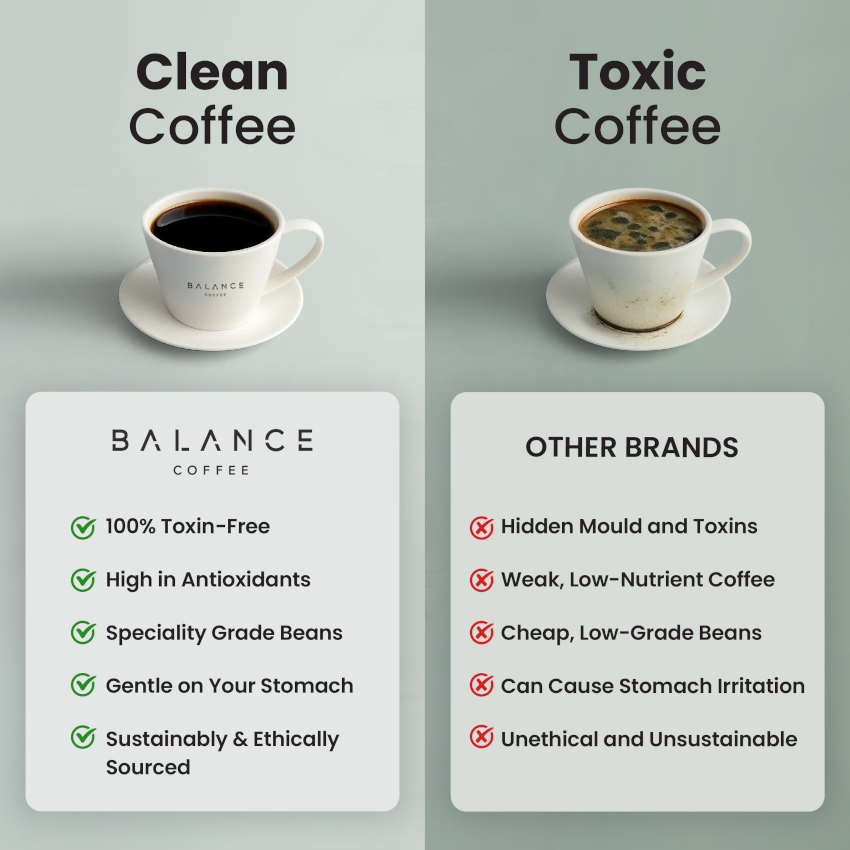 Bestselling Healthy Coffee Bundle、mySite、gigharbornorthrealestate