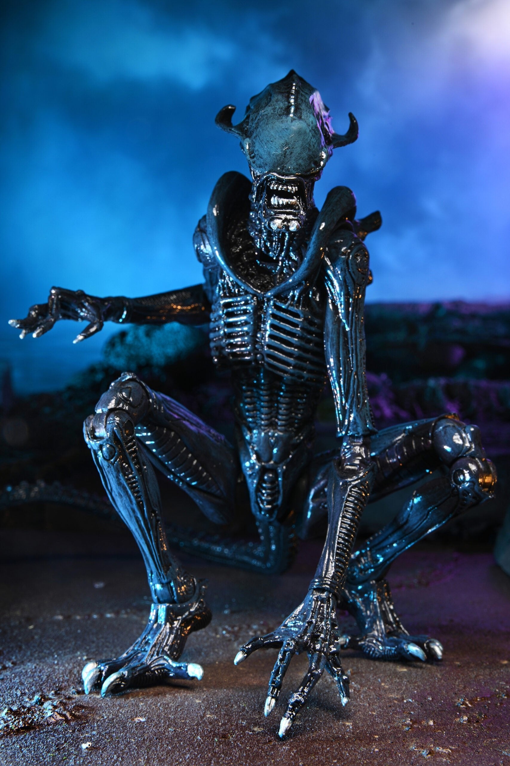 NECA Alien vs. Predator Arachnoid (Movie Deco)、mySite、hgirdovlk