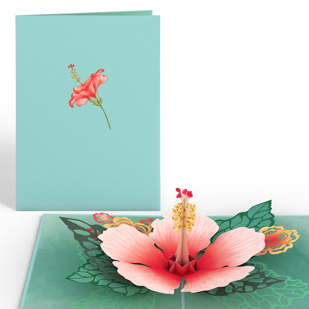 Hibiscus Bloom Pop-Up Card、mySite、solidvoid