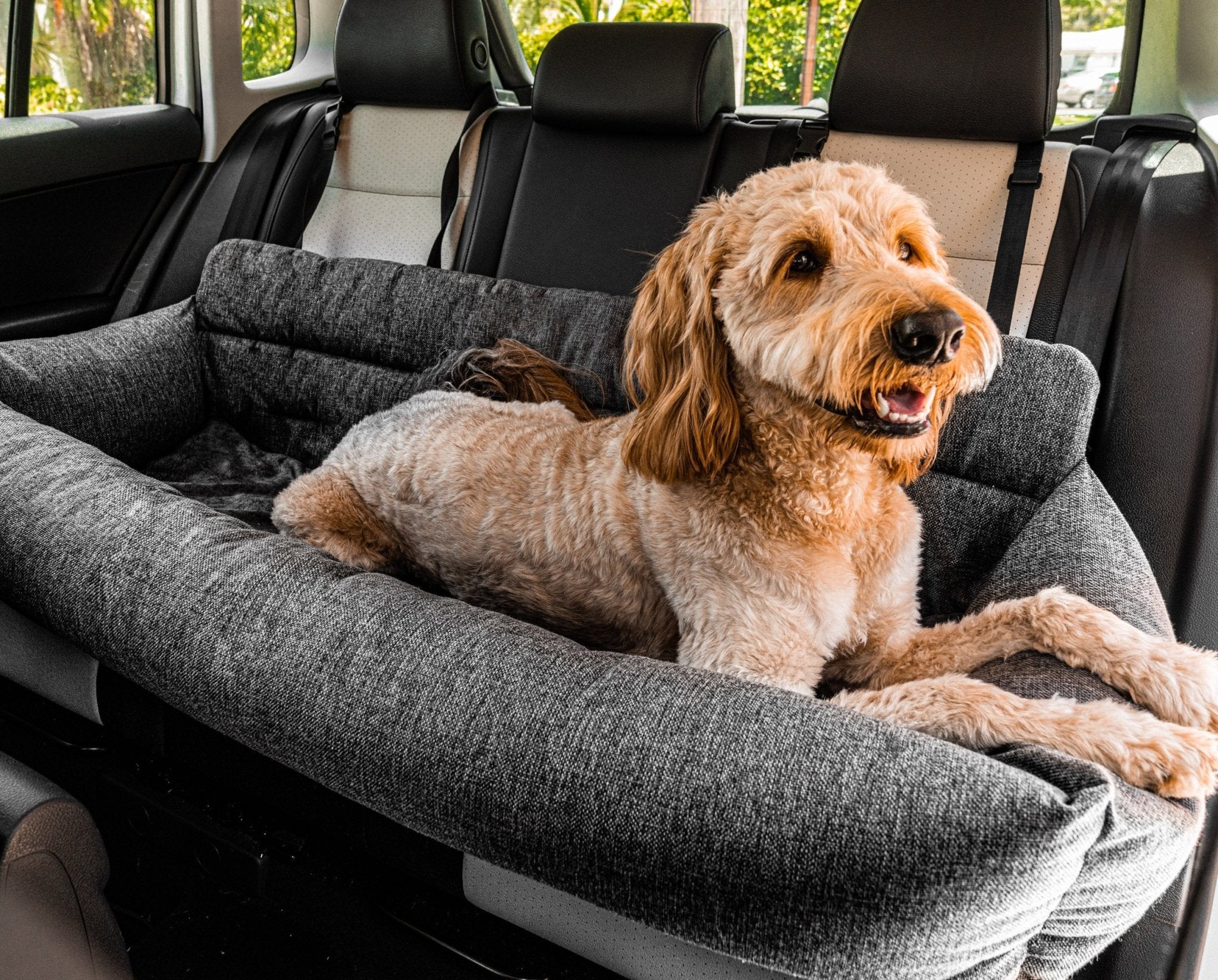 PupProtector™ Memory Foam Dog Car Bed、mySite、solidvoid