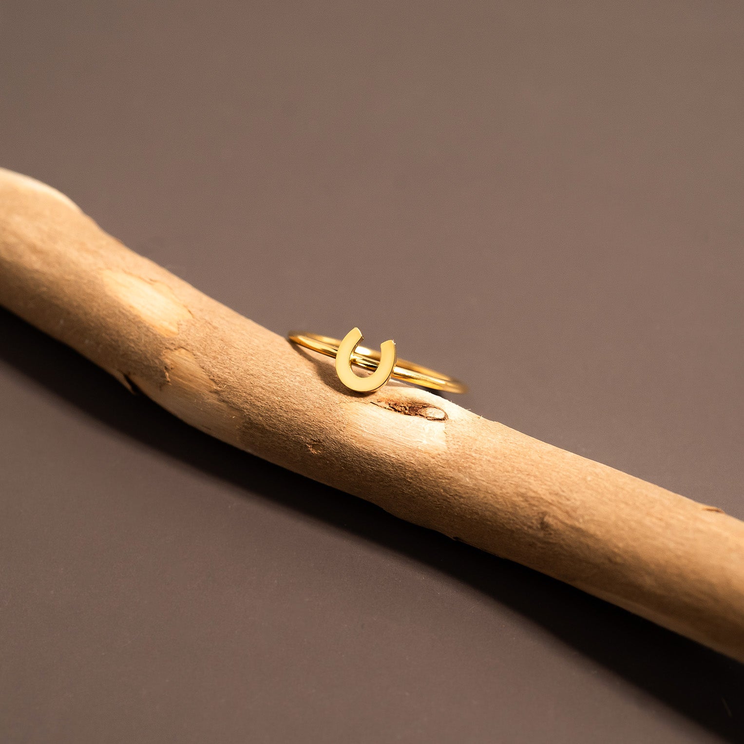 18K Gold PVD Stainless Steel Horseshoe Symbol Ring / ZRJ0001、mySite、dreamappss