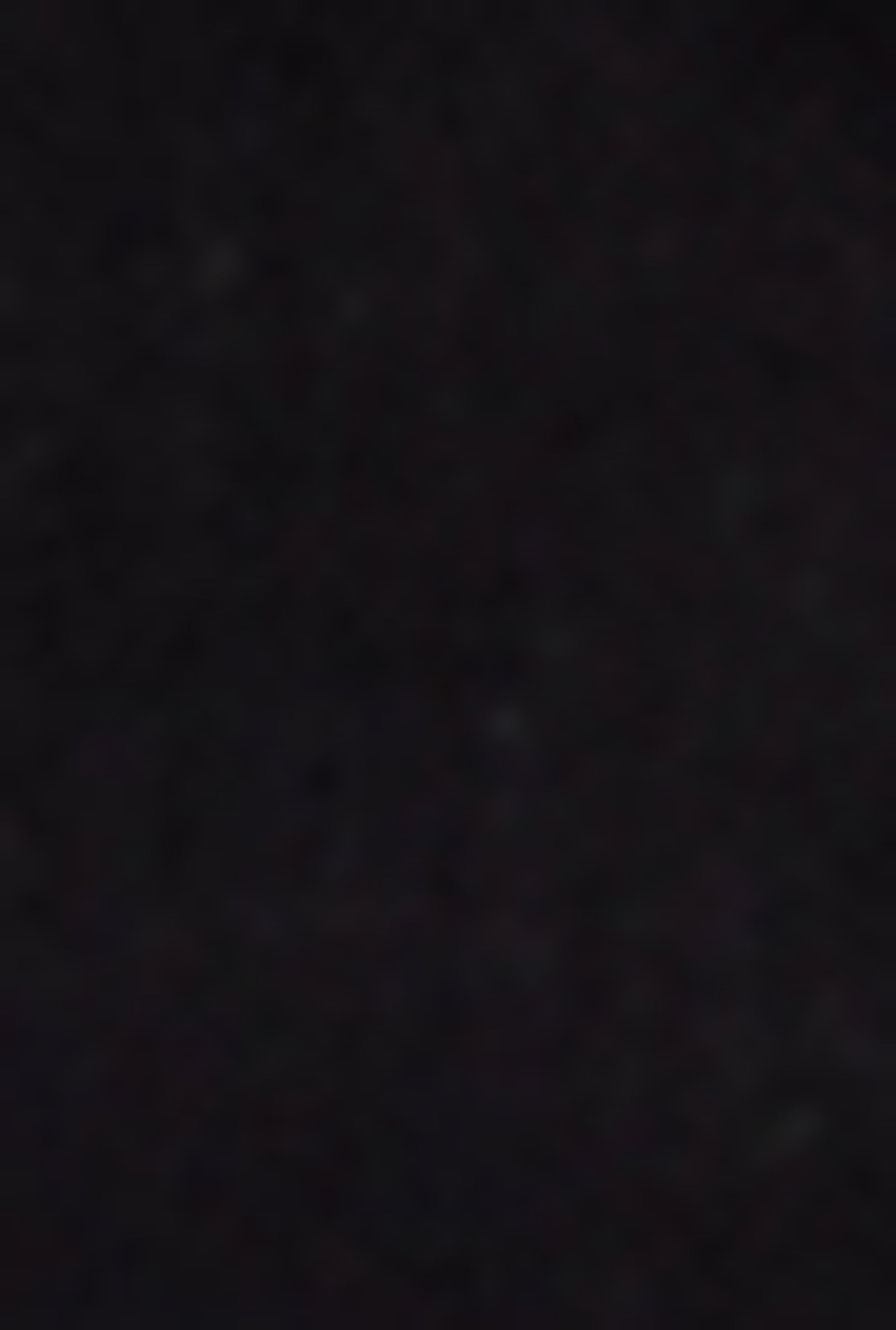 Plus Size Almost Famous Cargo Skater Jeans、mySite、camillekostekn