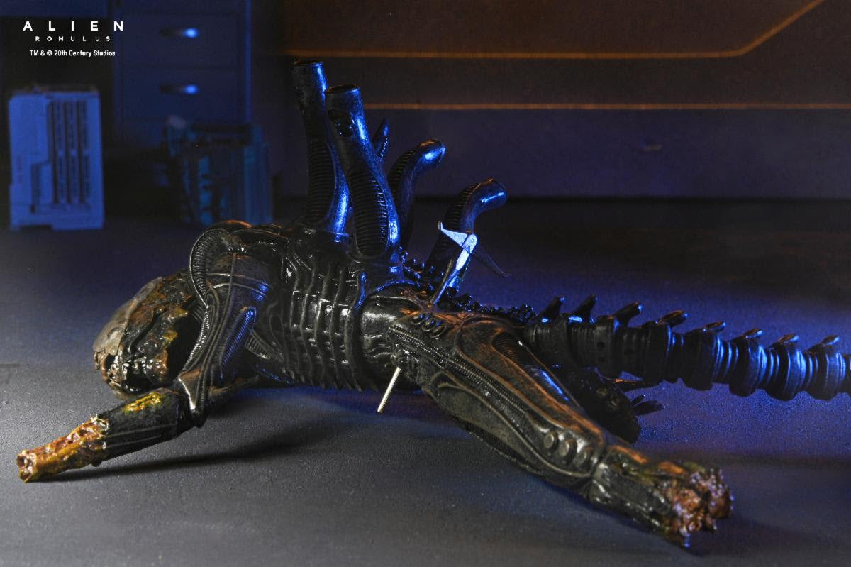 NECA Alien: Romulus Deluxe Suspended Lab Xenomorph XX121、mySite、hgirdovlk