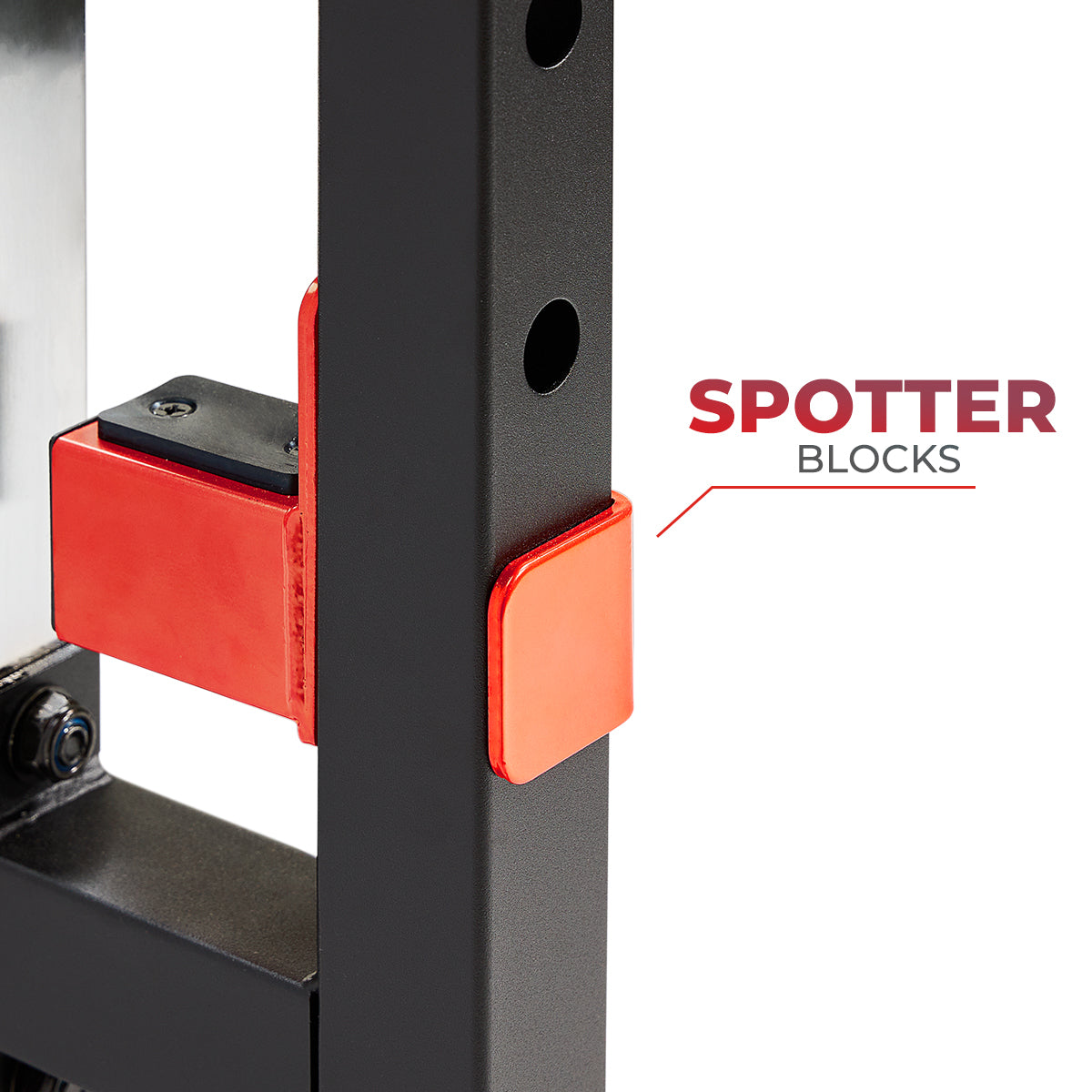  Sunny Strength™ Light Commercial Strength Training Smith Machine、mySite、ghnorth