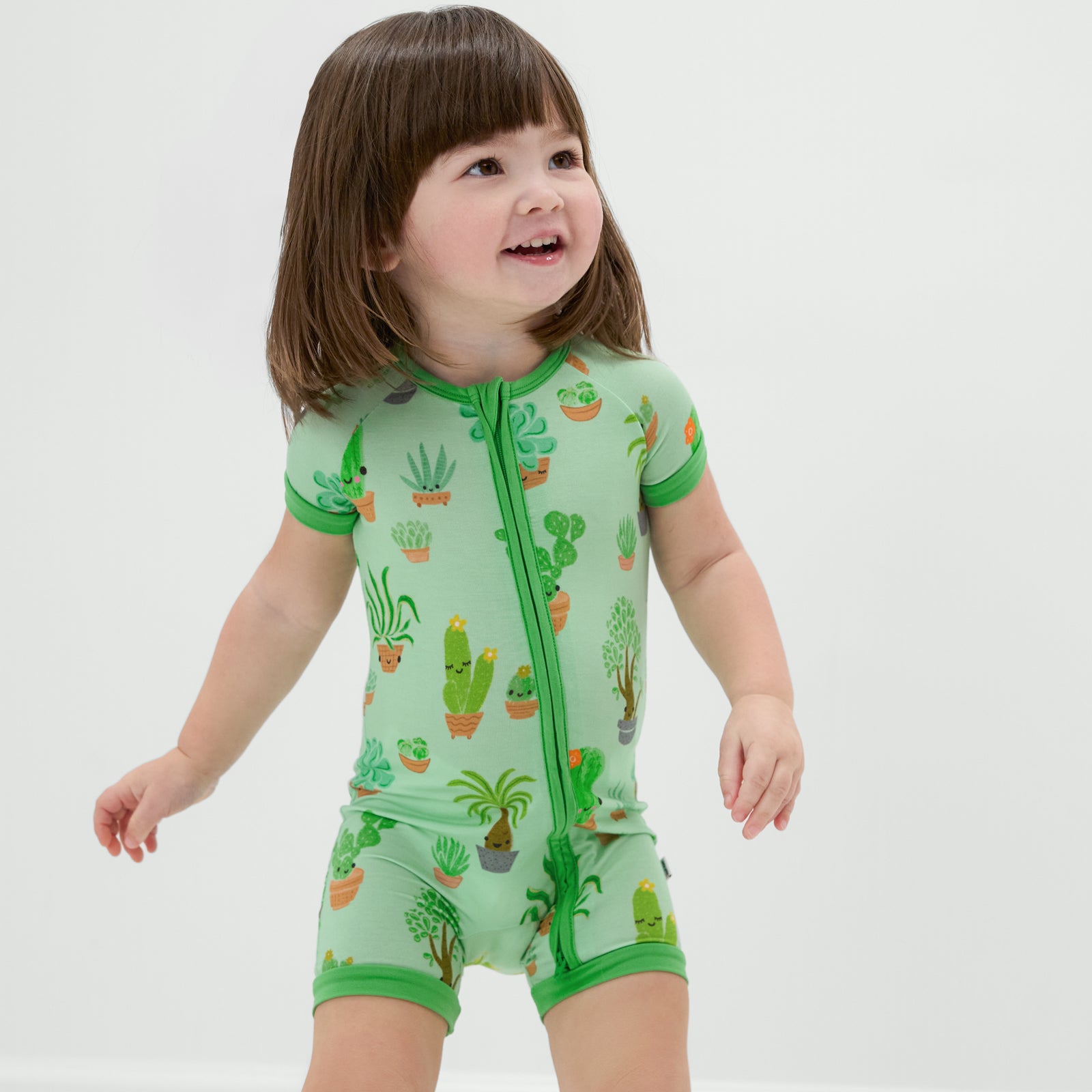 Succulent Love Shorty Zippy、mySite、g9winljtr