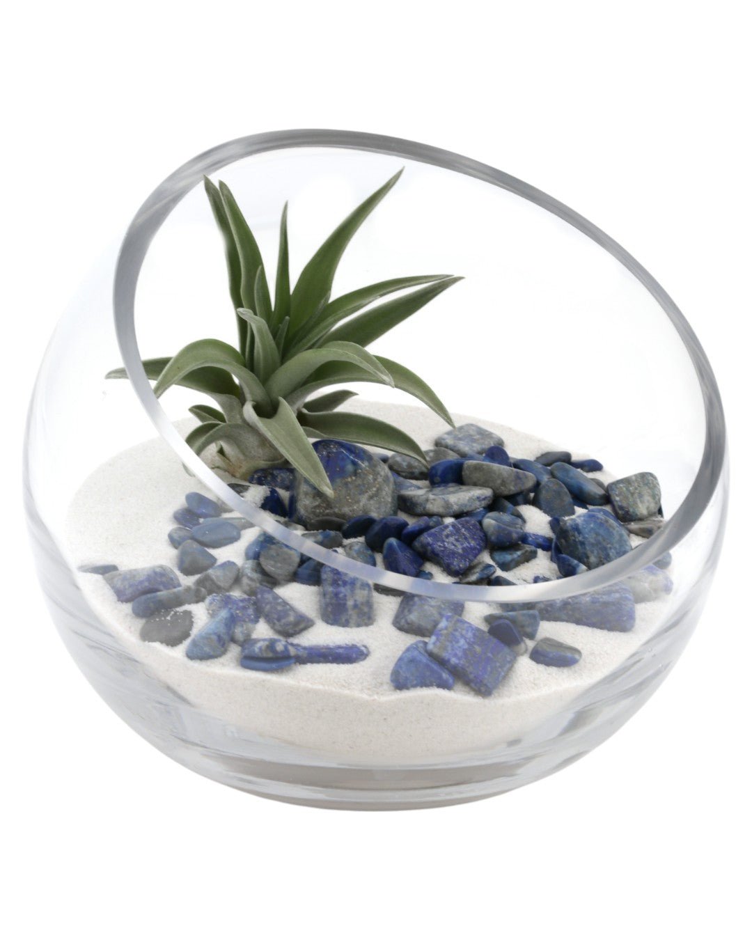 Lapis Gemstone Terrarium、mySite、topwebapps