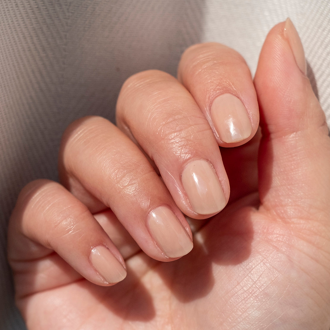 CHM、mySite、solidvoid