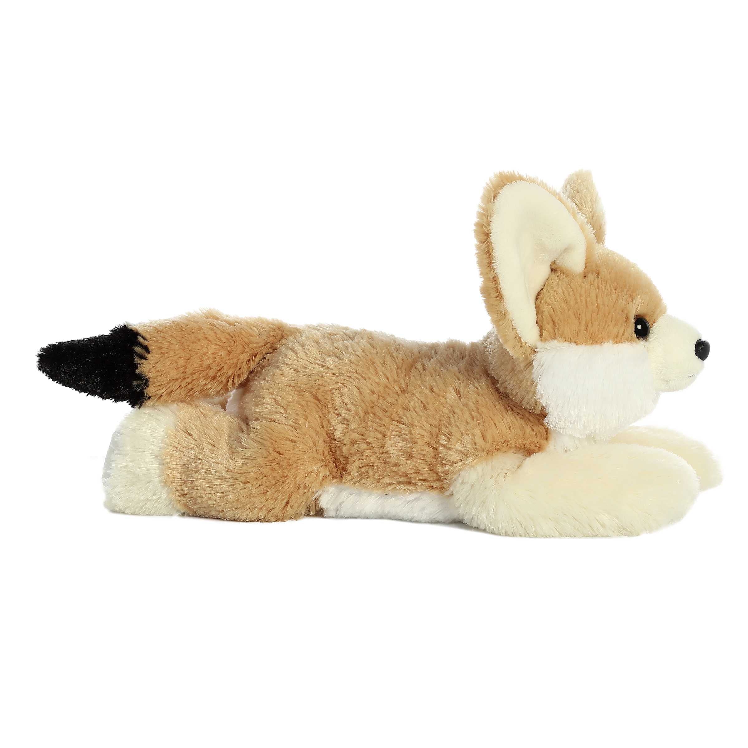 Aurora® - Flopsie™ - 12 Fennec Fox、mySite、g9winljtr