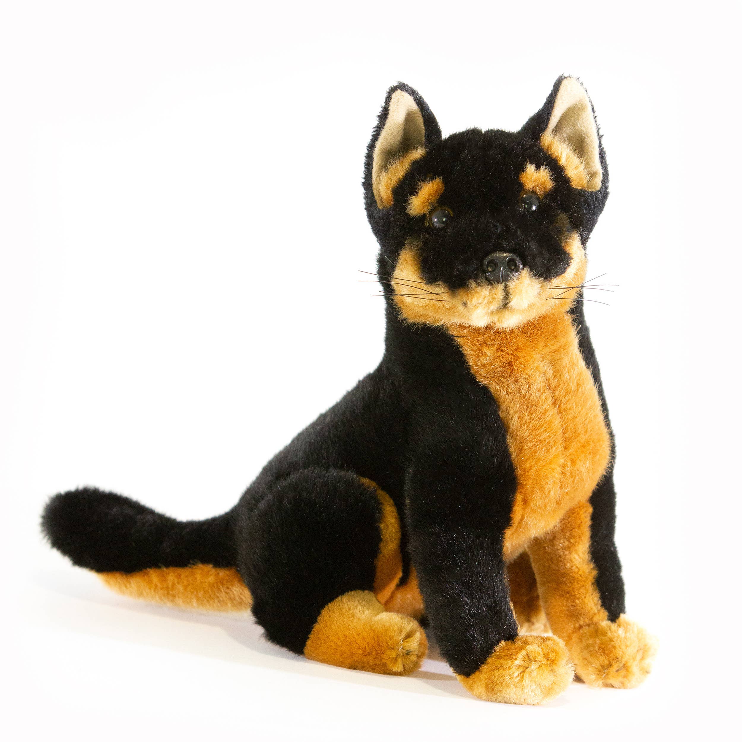 Black and Tan Australian Dingo Size 21cm/8、mySite、g9winljtr