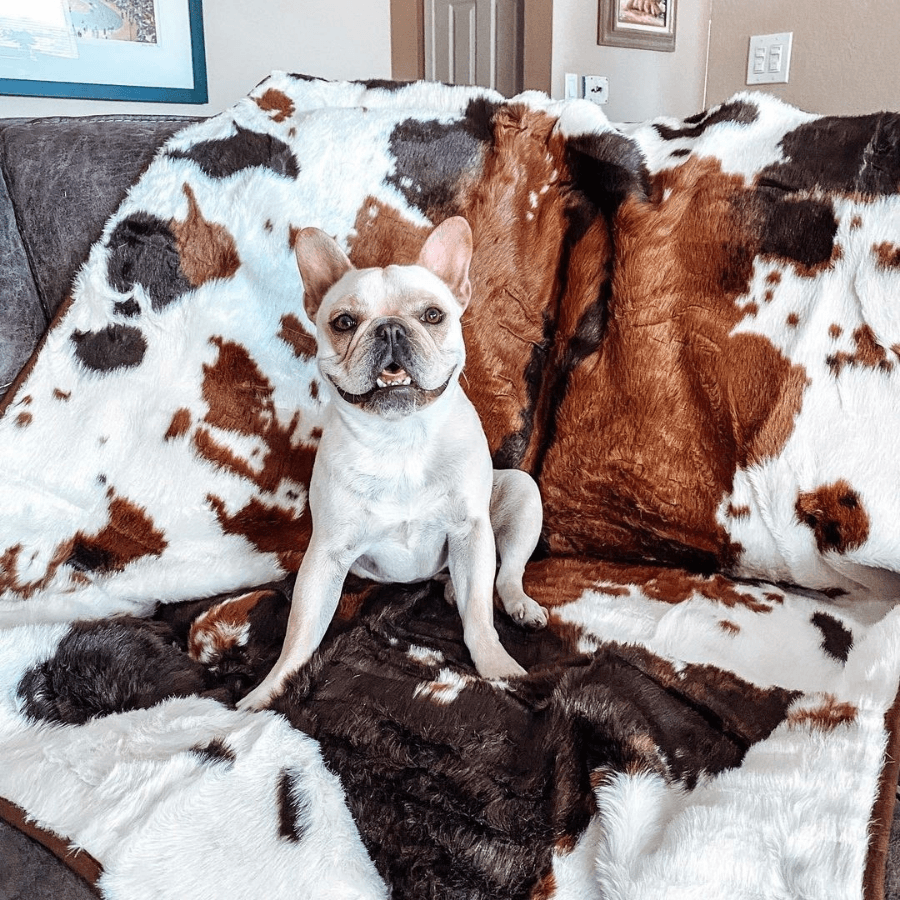 Paw.com x BarkBox PupProtector™ Waterproof Throw Blanket - Brown Faux Cowhide、mySite、solidvoid