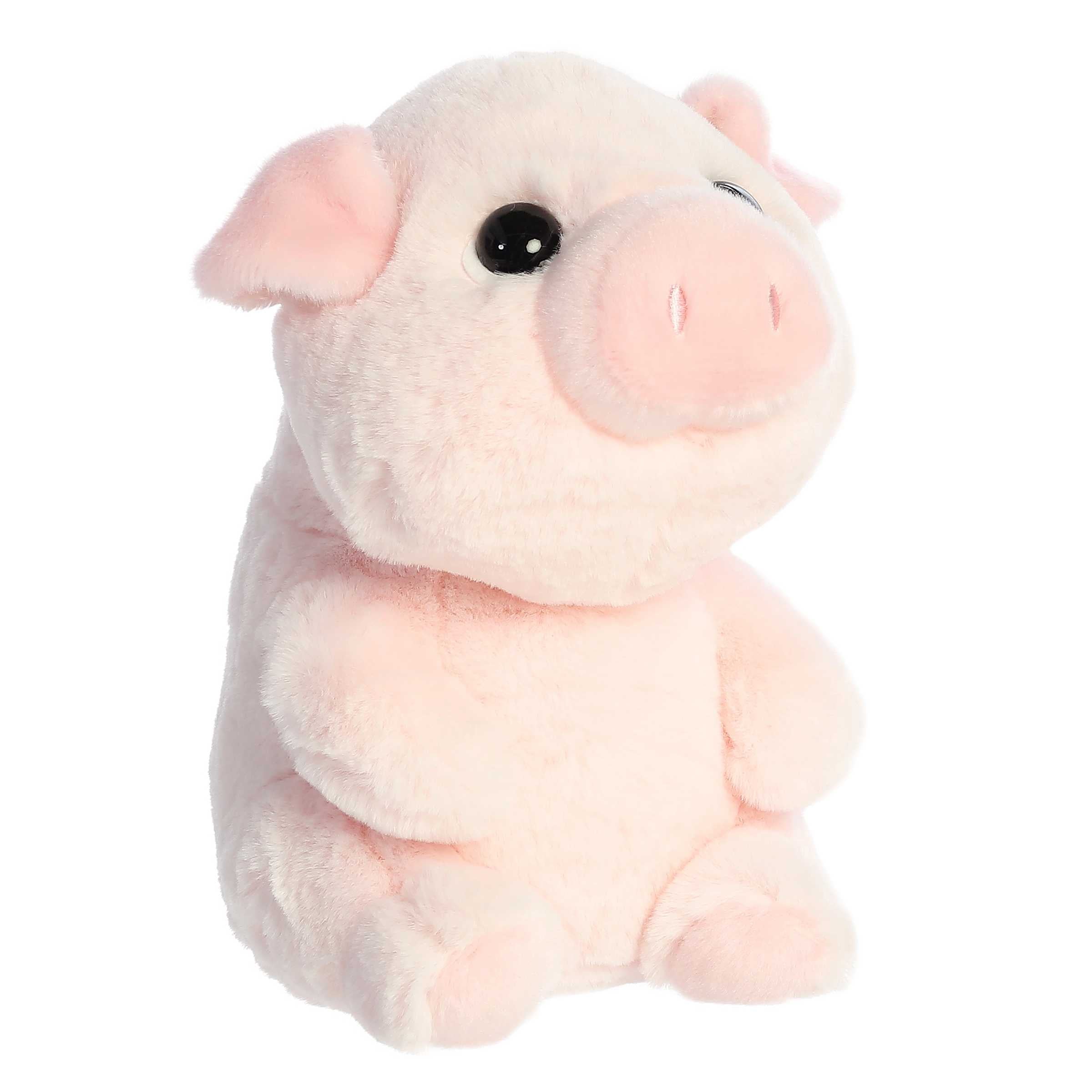 Aurora® - Boop™ - 9 Petunia™、mySite、g9winljtr