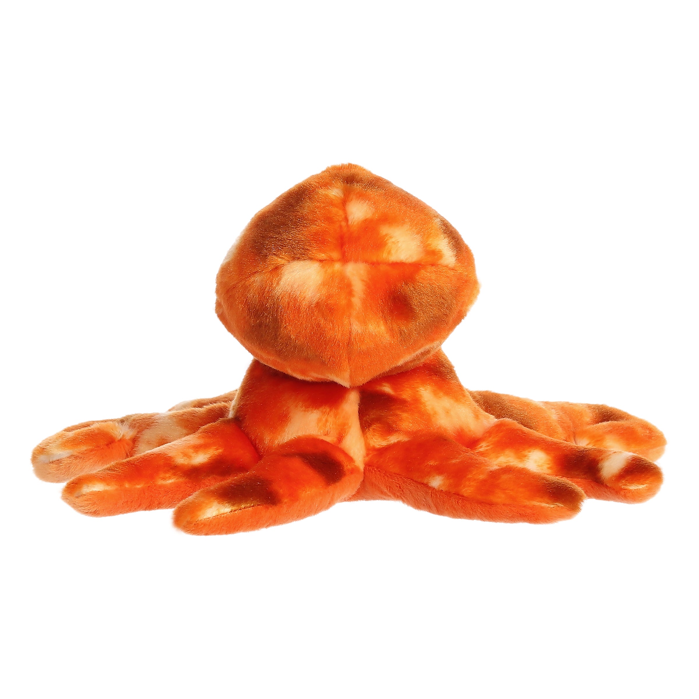 Aurora® - Destination Nation™ - 10.5 Octopus、mySite、g9winljtr