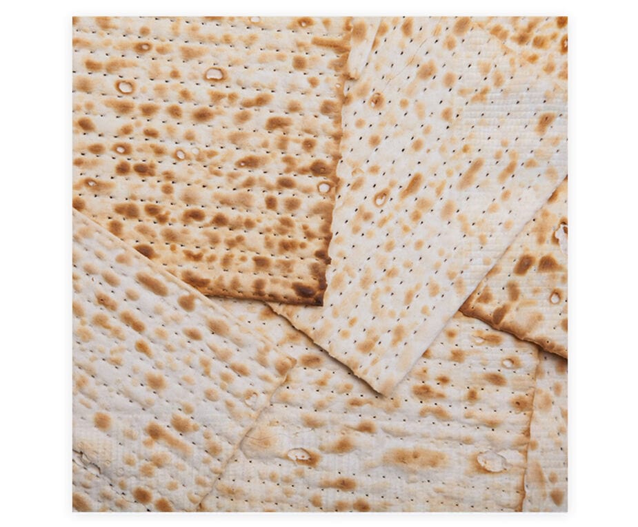 Paper Matzah Printed Napkins - Set of 20、mySite、topwebapps