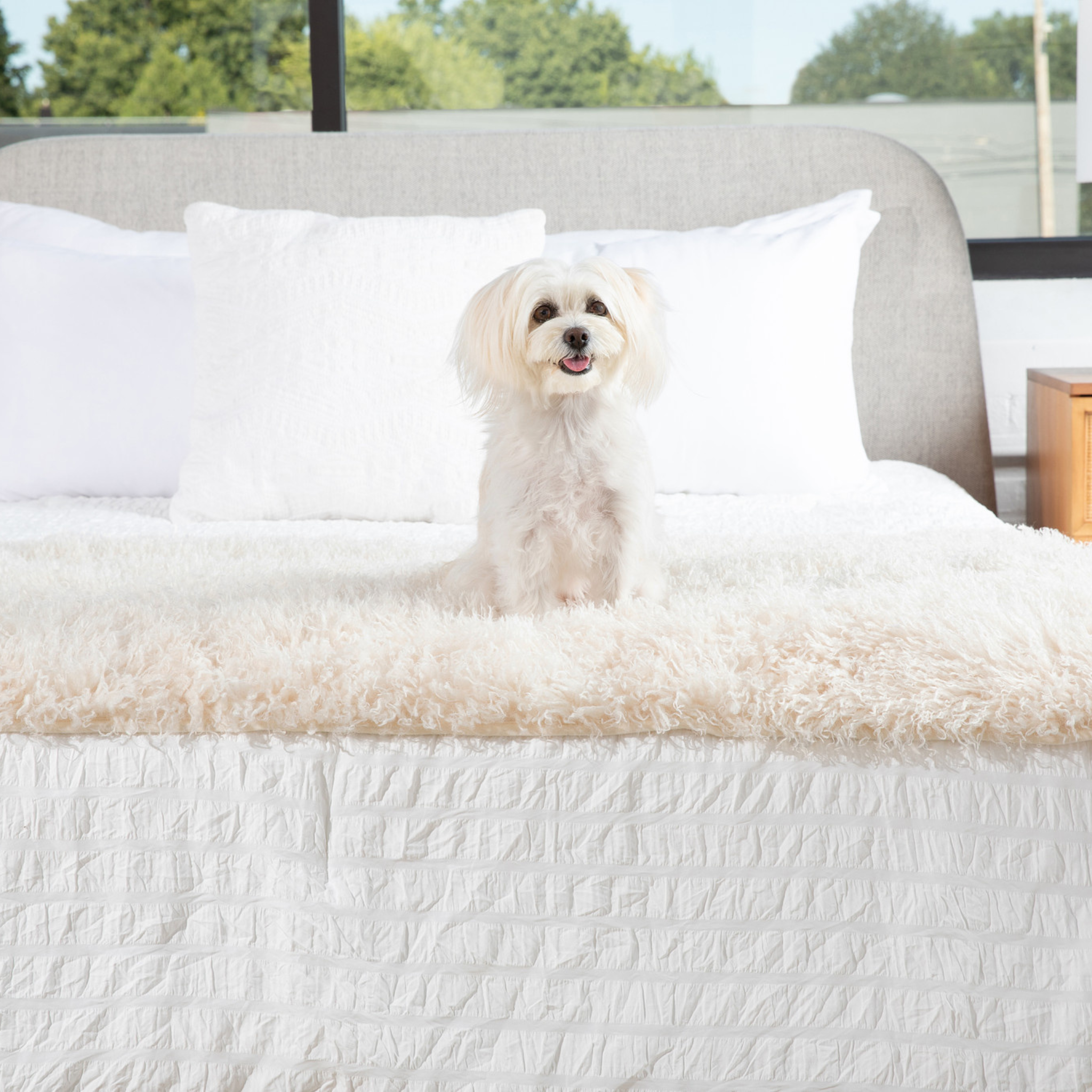 PupProtector™ Luxe Waterproof Bed Runner - Plush Sheep Ivory、mySite、solidvoid