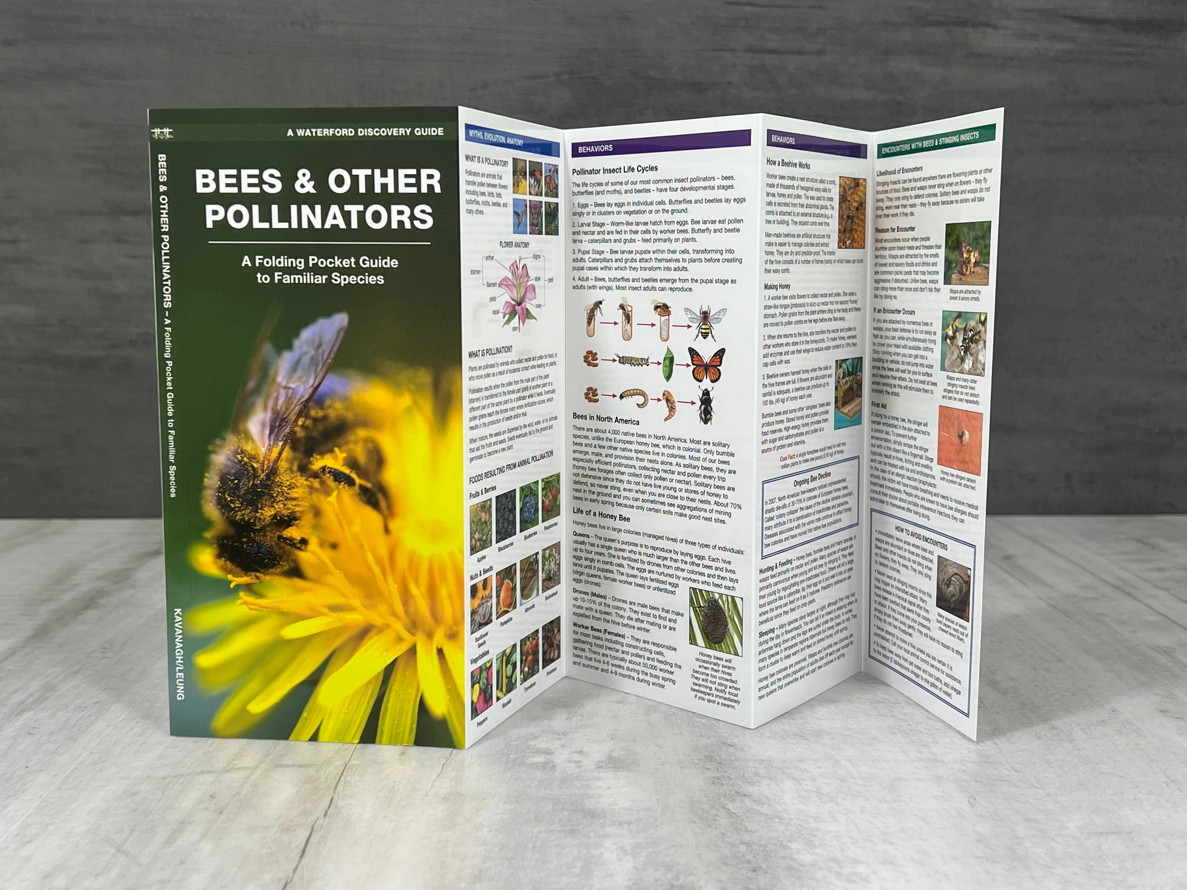 Iowa Nature Booklet、mySite、garagedoors4me