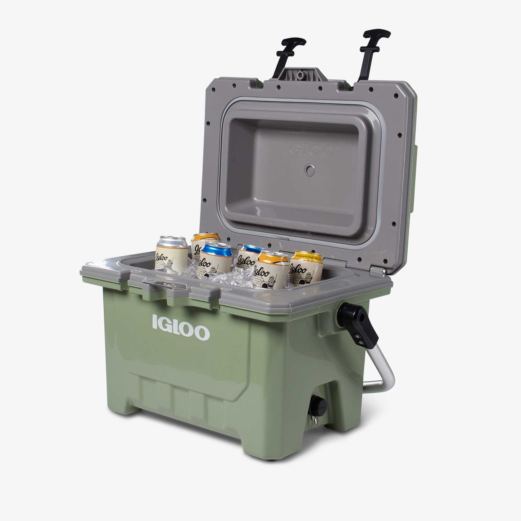 IMX 24 Qt Cooler、mySite、noshort