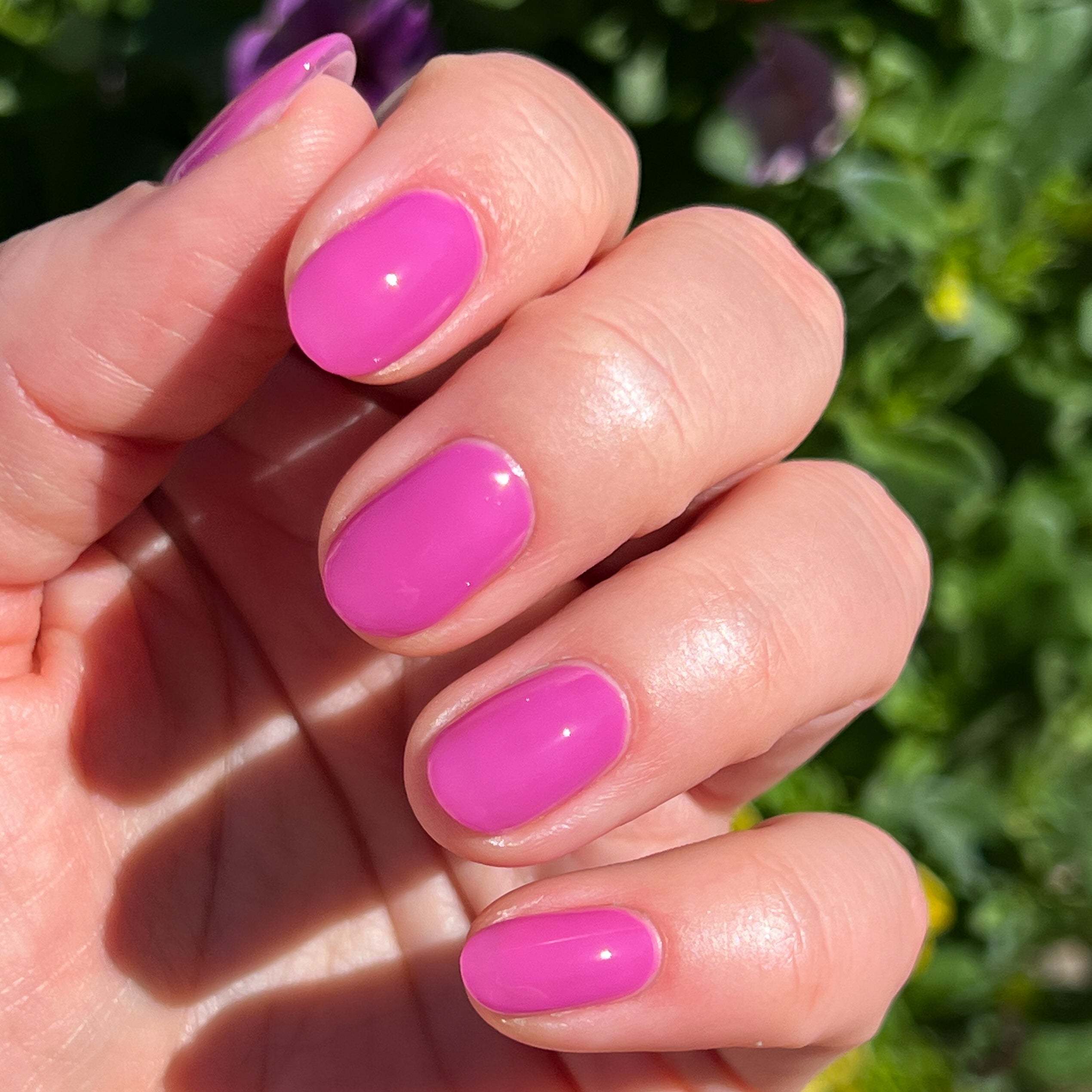 How Do You Spell Bougainvillea?、mySite、solidvoid