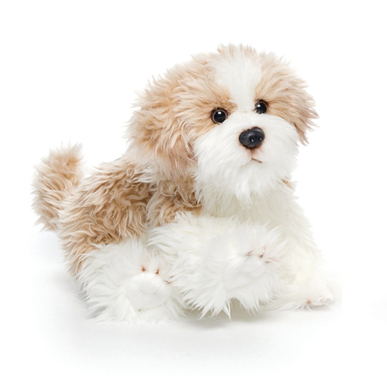 Plush Mixed Breeds: Maltipoo, Terrier Mix, & Labradoodles、mySite、g9winljtr