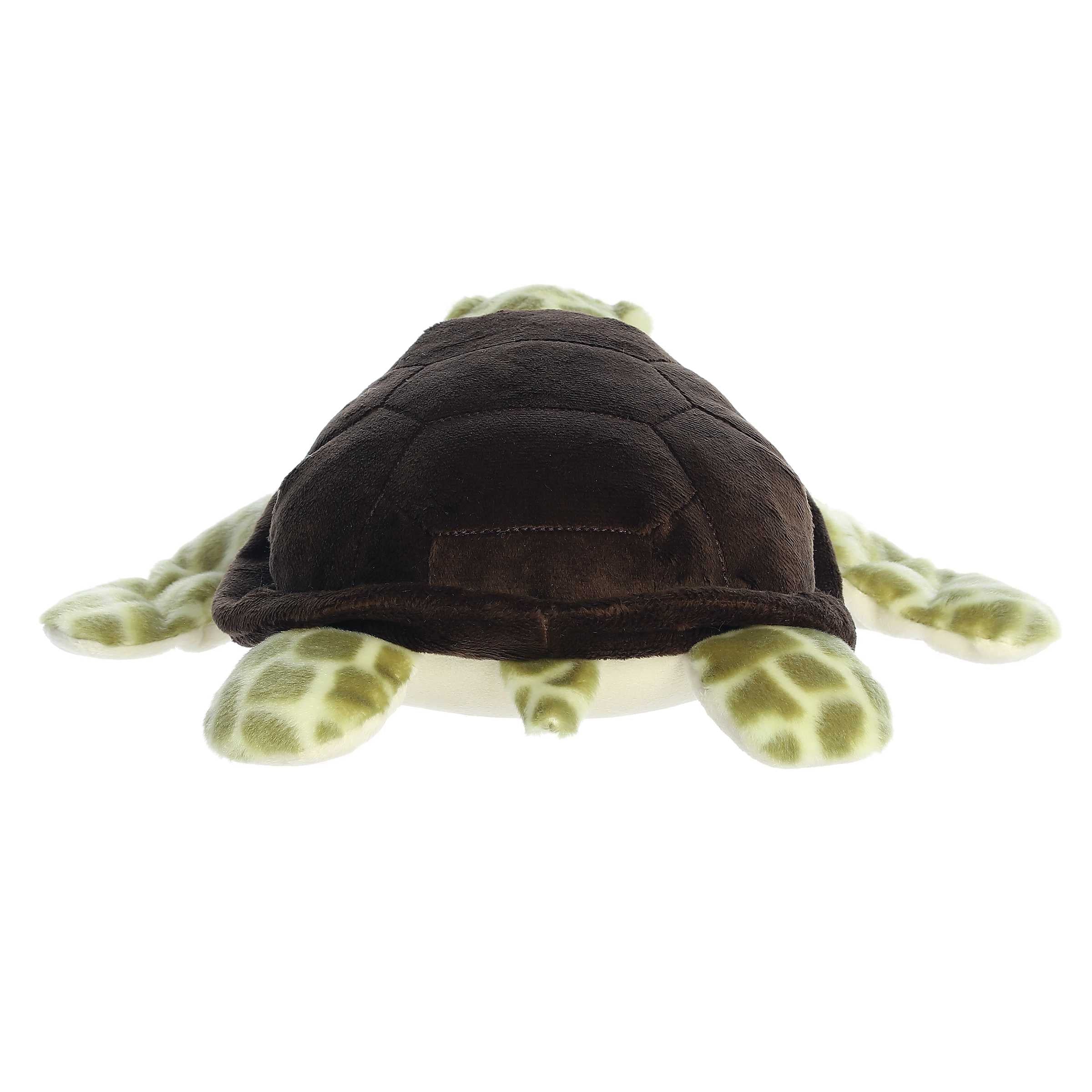 Aurora® - Eco Nation™ - Eco Hugs™ - 12 Sea Turtle、mySite、g9winljtr