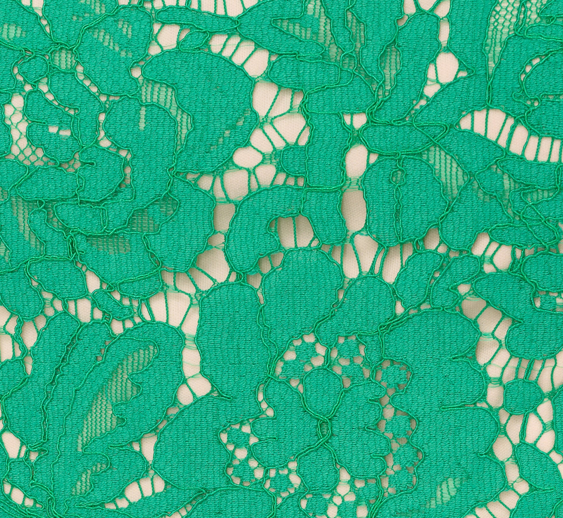 Sleeveless Lace Fit And Flare Dress With Sheer Details In Botanic Green、mySite、solidvoid