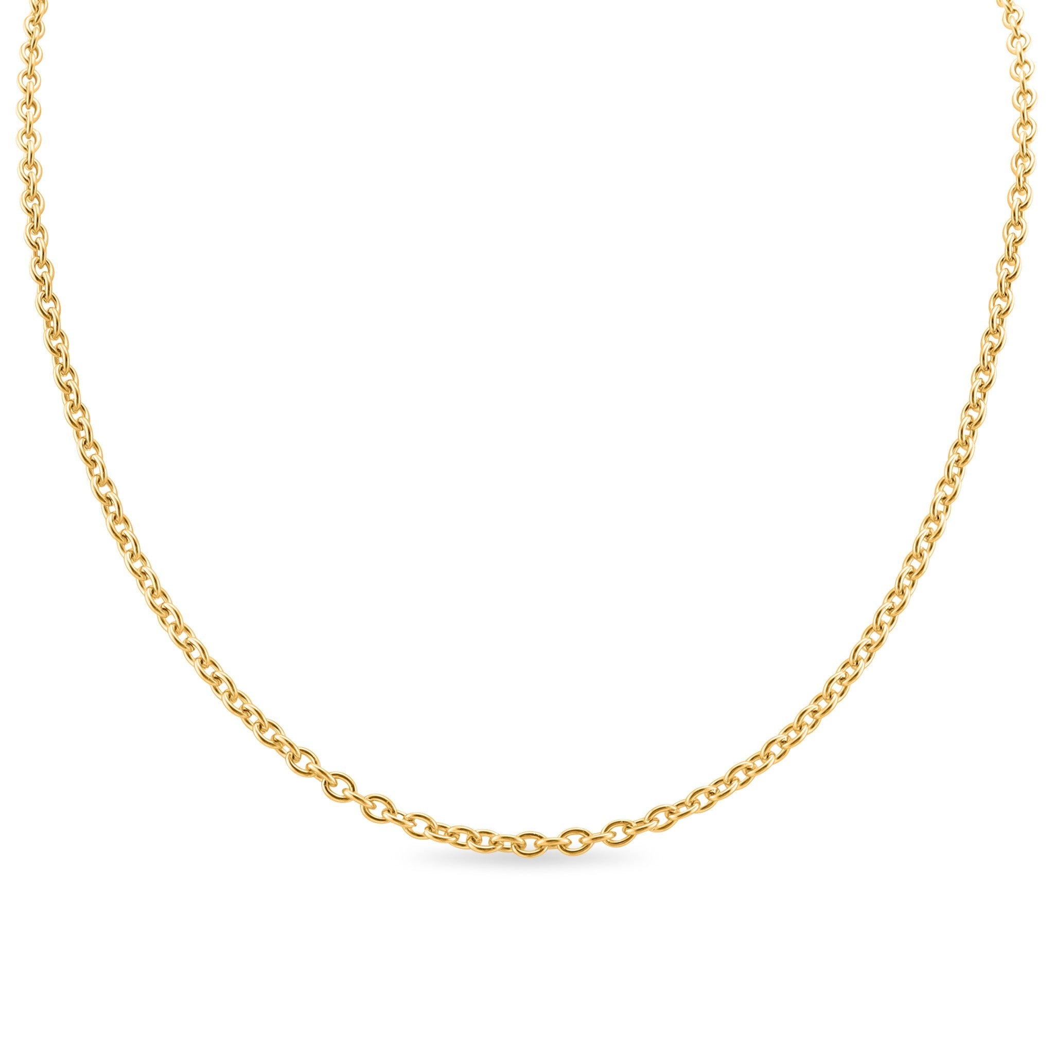 10 Pack - Gold 20 Stainless Steel Loop Chain Necklace / CHN3011、mySite、dreamappss
