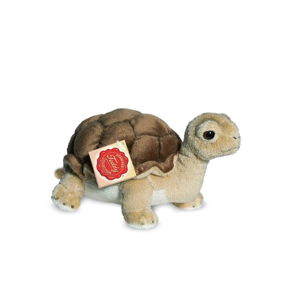 Realistic Plush Small Tortoise 20 cm - plush toy by Teddy Hermann、mySite、g9winljtr