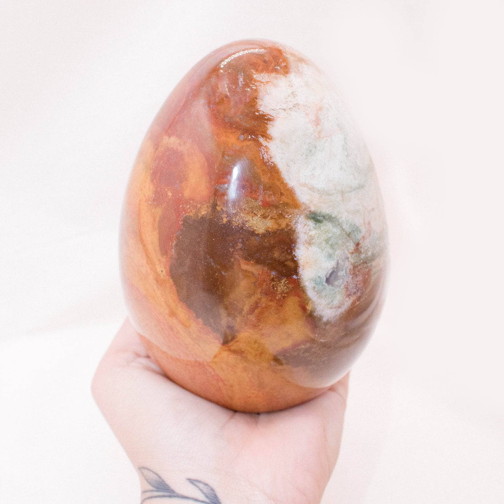 Petrified Wood Egg - AAA Premium Quality、mySite、hinf8tx79