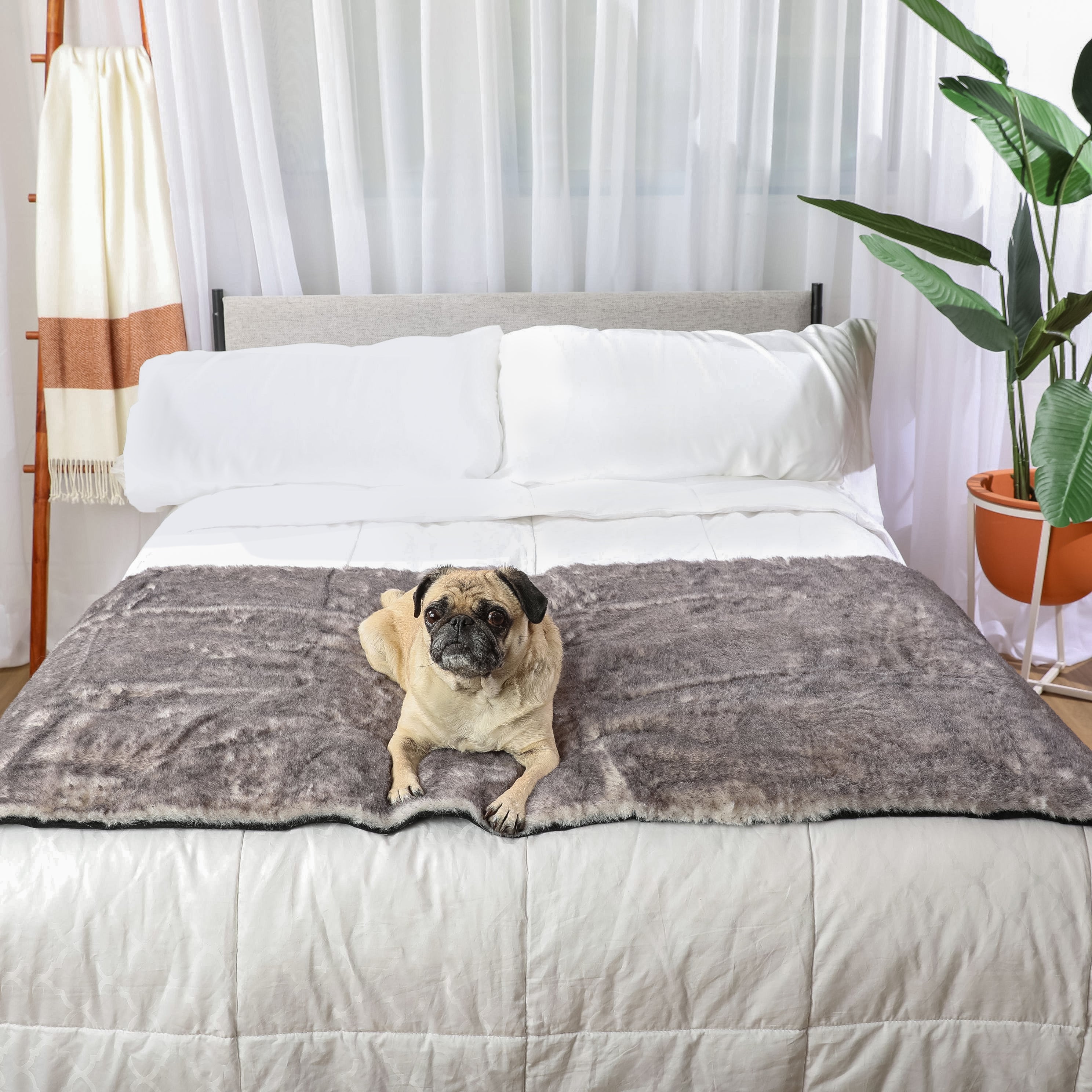 PupProtector™ Luxe Waterproof Bed Runner - Ultra Soft Chinchilla、mySite、solidvoid