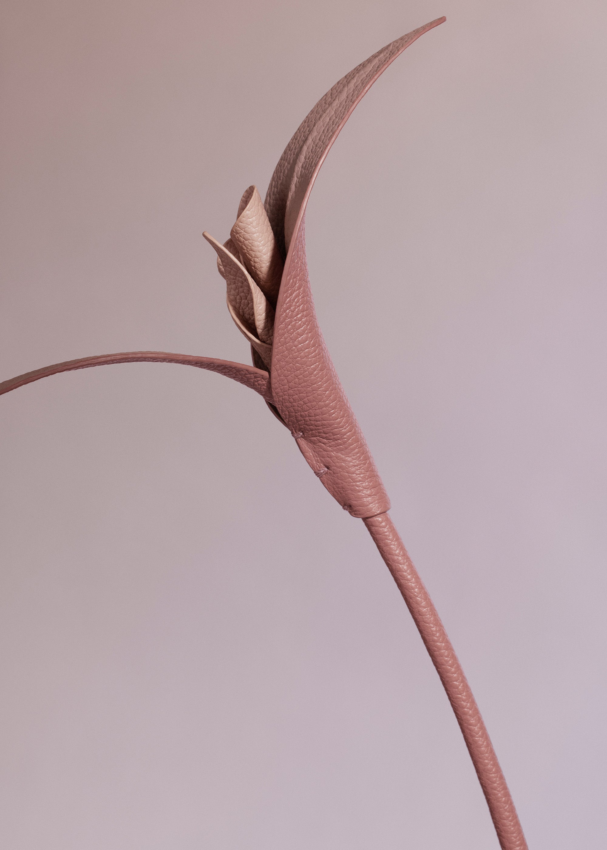 Fleur Touka - Trio Blush Grain茅、mySite、camillekostekn