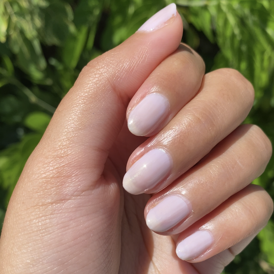 Violet Bliss、mySite、solidvoid