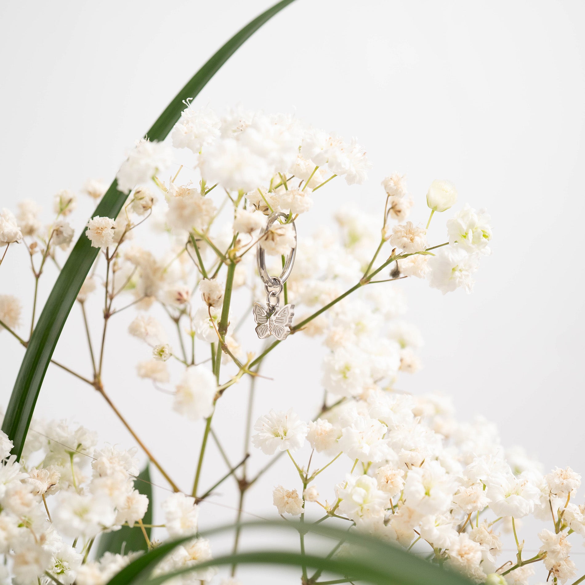 18K Gold PVD Stainless Steel Butterfly Huggie Earrings / ERJ0050、mySite、dreamappss