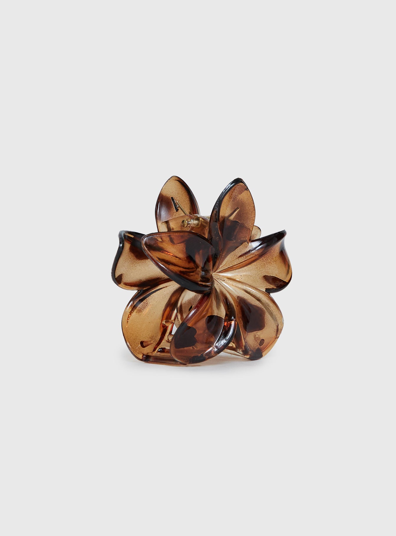 Glimmering Clip Tort、mySite、solidvoid