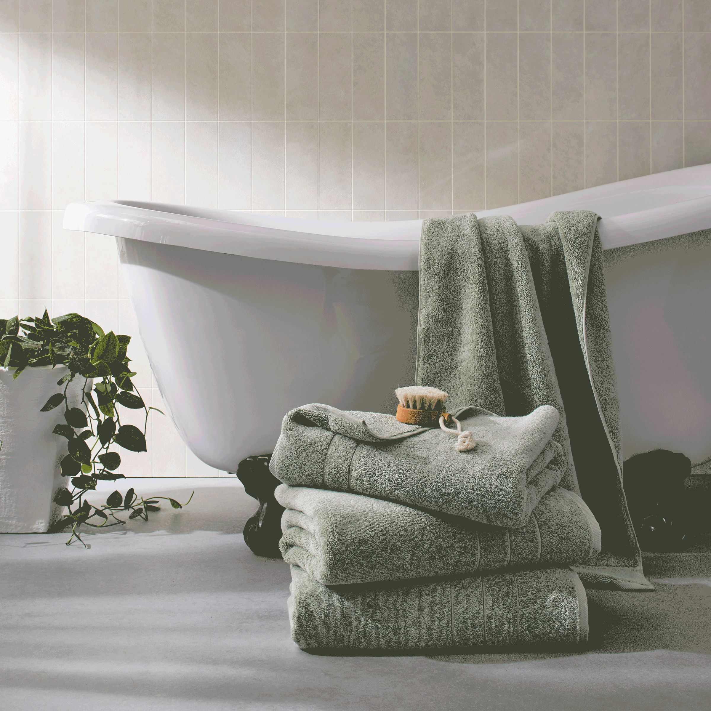  Super-Plush Turkish Cotton Bath Towels - Last Call、mySite、sugarbowlscore