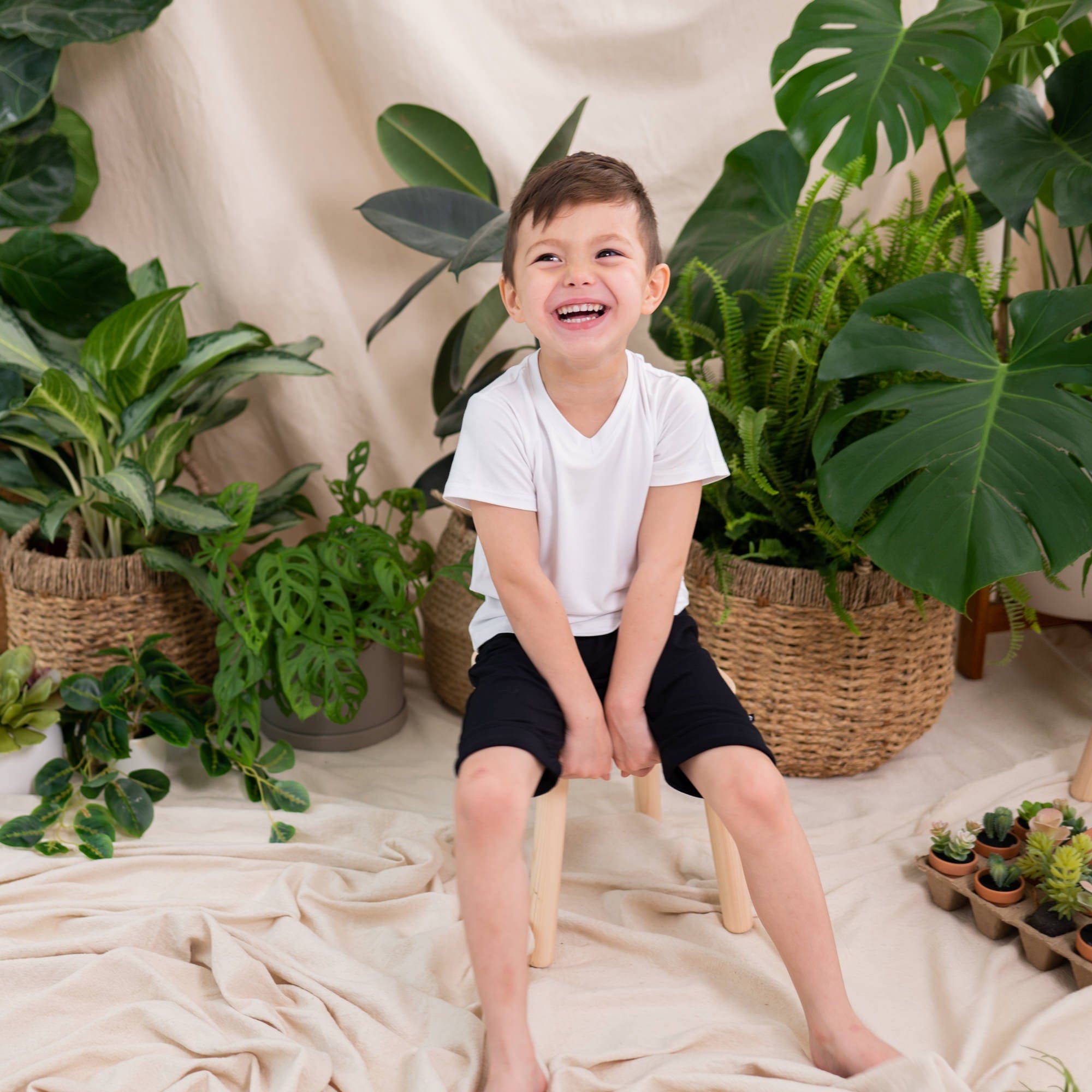  Harem Shorts in Midnight、mySite、layawaytickets