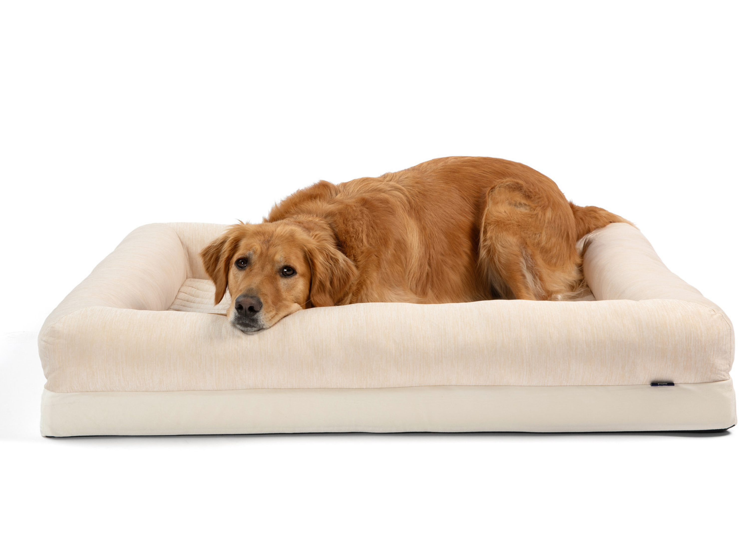 PupChill™ Cooling 4-Bolster Dog Bed - Arctic Sand、mySite、solidvoid