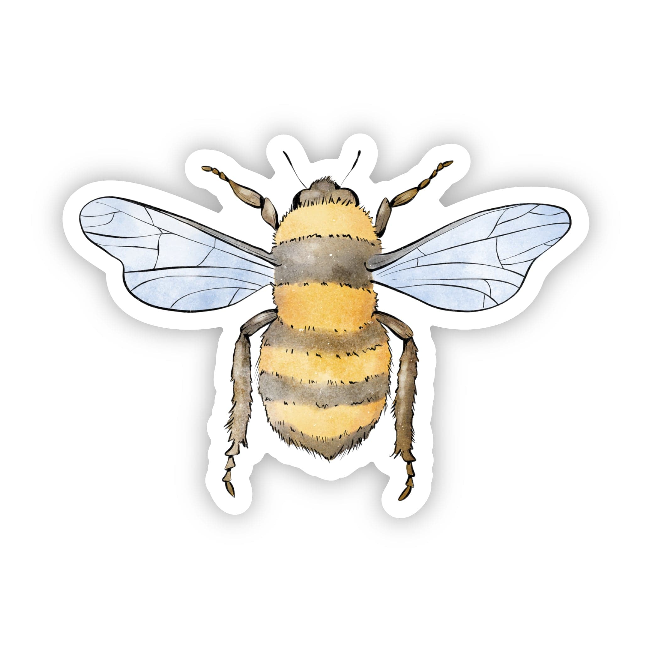  Honeybee Sticker Nebraska、mySite、elrpsem3k