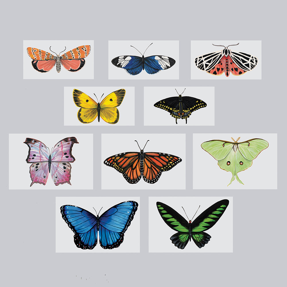  Butterfly Tattly Temporary Tattoos Tiny Tin、mySite、ghnorth