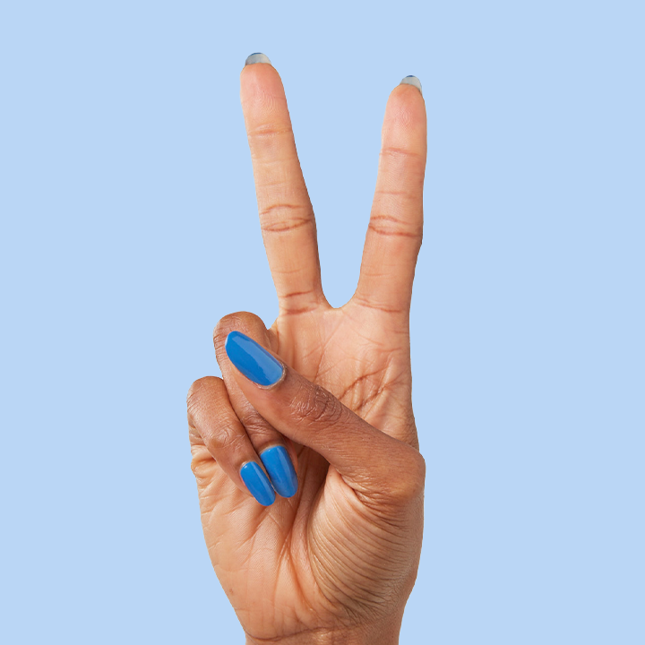 Blue Canoe、mySite、solidvoid