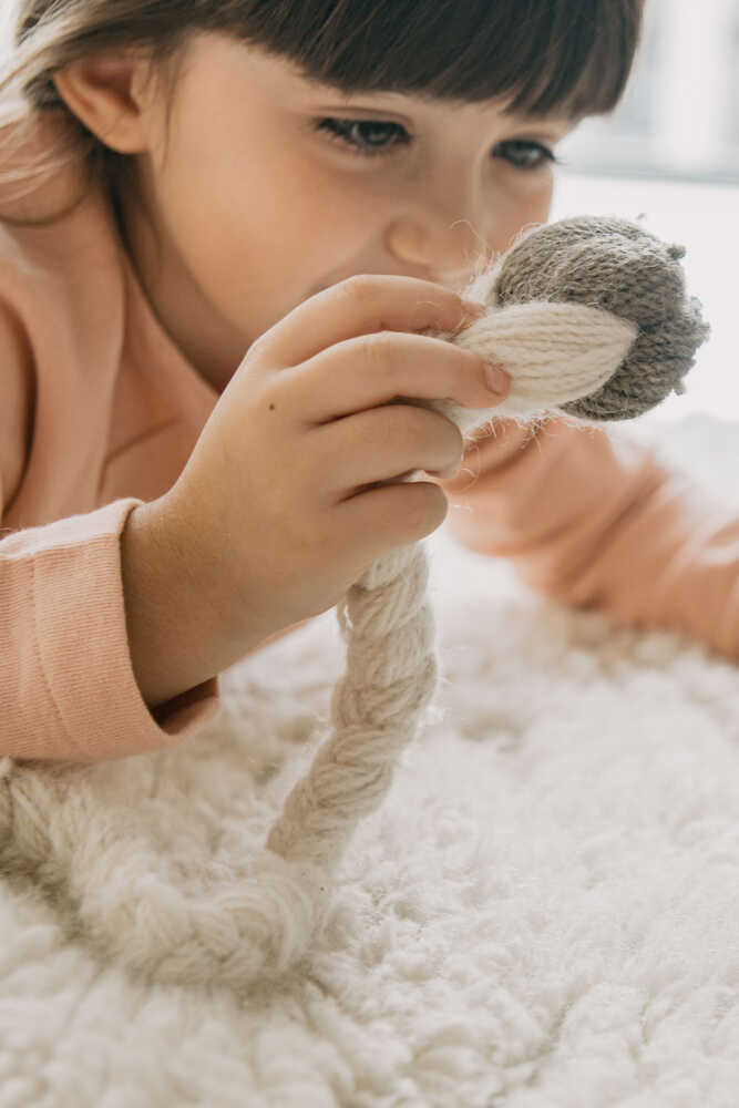 WOOL RUG PINK NOSE SHEEP、mySite、gigharbornorthrealestate