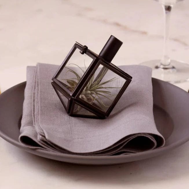 Talia Mini Dreidel Terrarium - Black、mySite、topwebapps