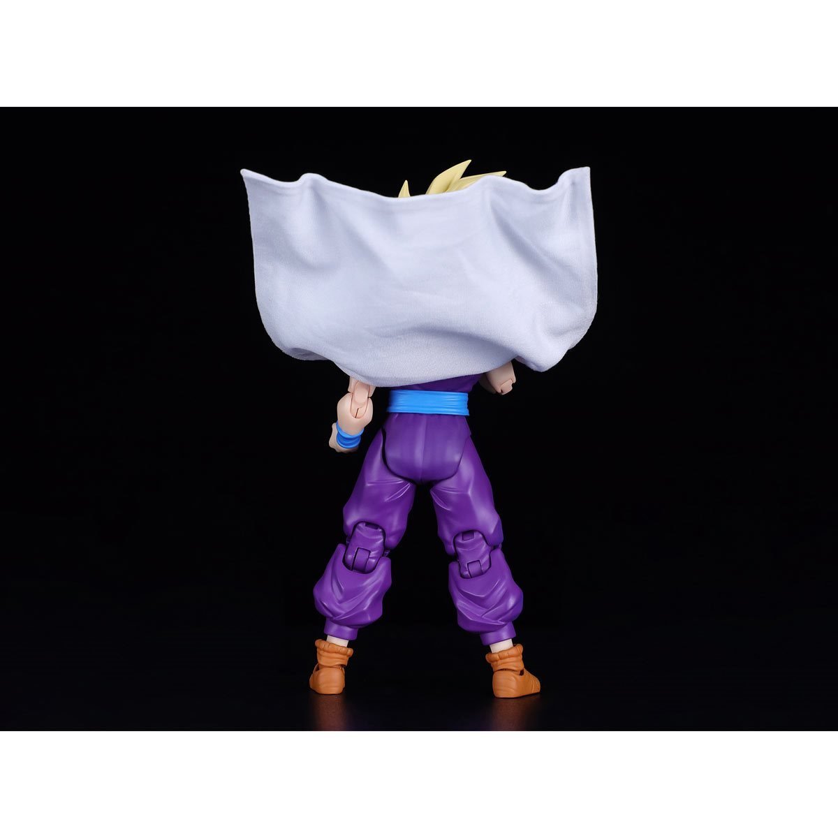 S.H. Figuarts Dragon Ball Z Super Saiyan Son Gohan (The Warrior Who Surpassed Goku)、mySite、hgirdovlk