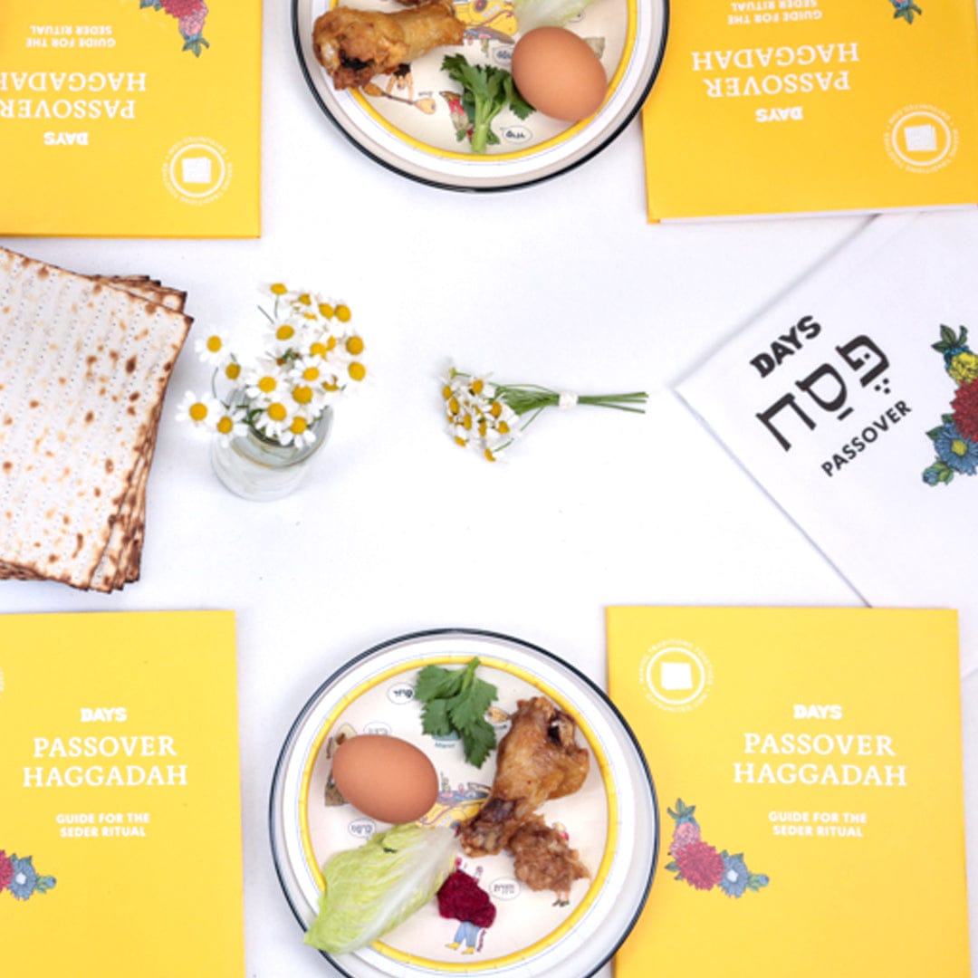 Individual Seder Plates - Set of 6、mySite、topwebapps