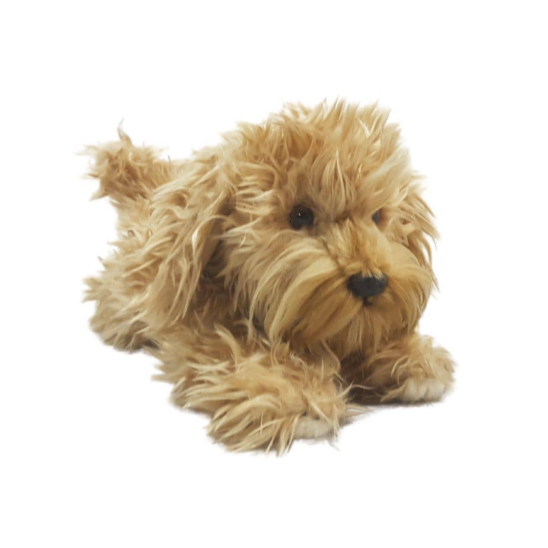 Red Oodle-Poodle Cross Puppy Size 28cm/11、mySite、g9winljtr