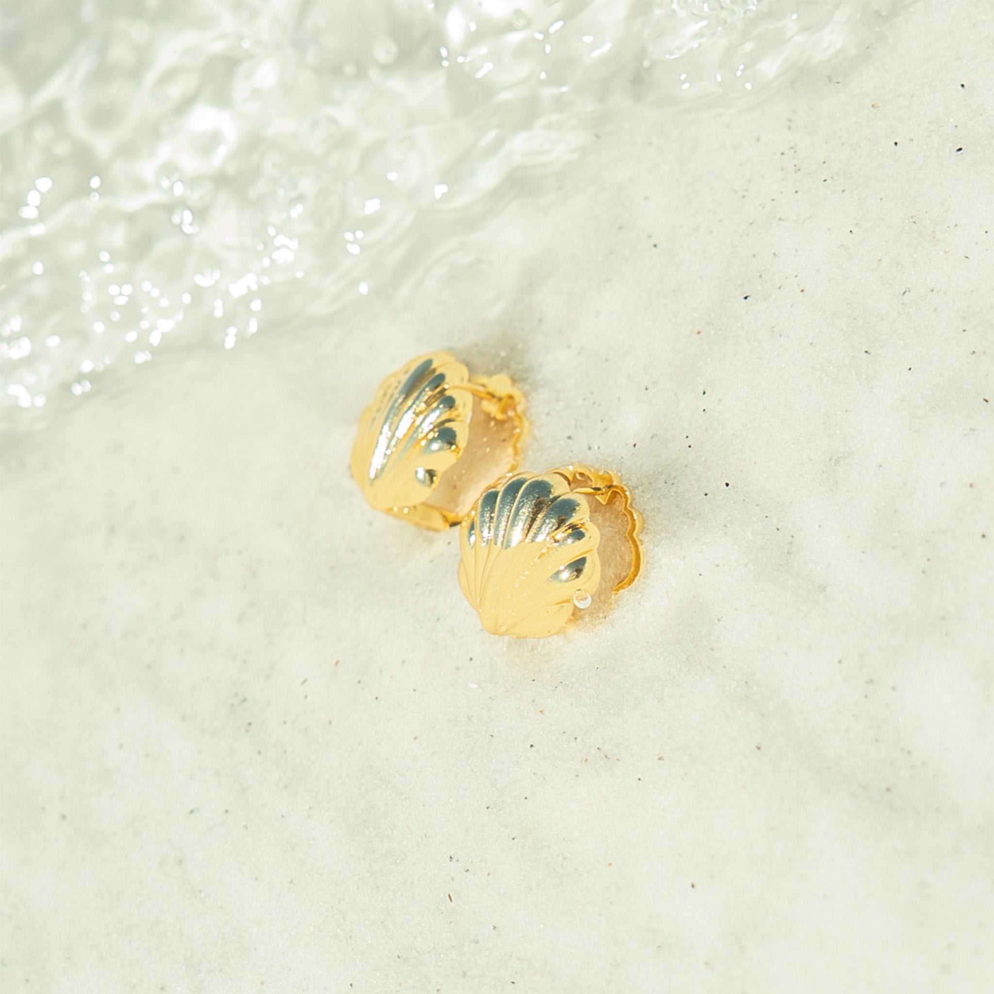 18K Gold PVD Stainless Steel Shell Huggies Earrings / ERJ0066、mySite、dreamappss