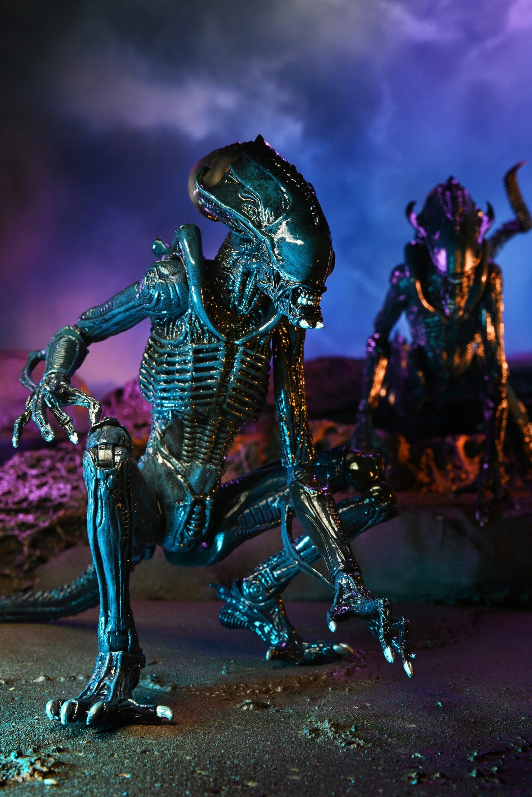 NECA Alien vs. Predator Arachnoid (Movie Deco)、mySite、hgirdovlk