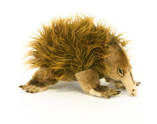 Plush Lifelike Echidna Size 24cm/9.5″、mySite、g9winljtr
